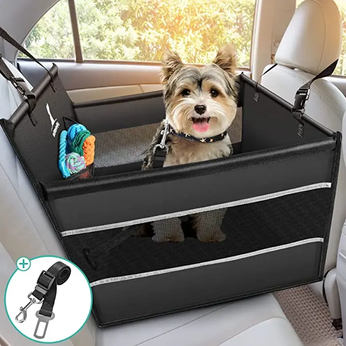 siege auto chien